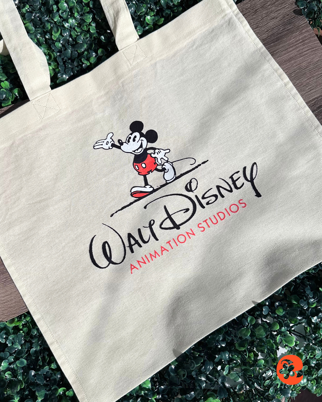 Totebag / Walt Disney